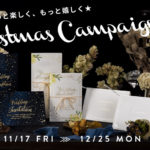 クリスマスキャンペーン実施中！赤と緑の商品が25%OFFに