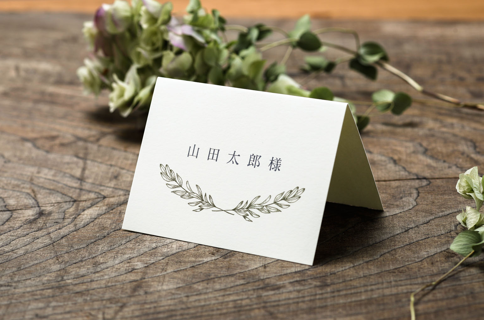 Oliveオリーブ(共通)