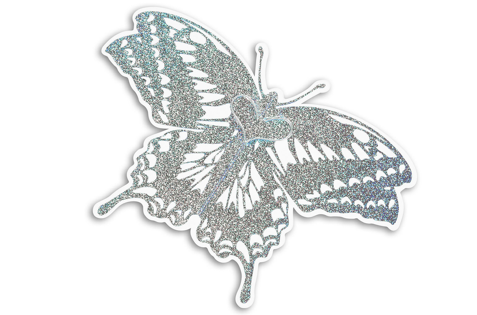 BUTTERFLY CARD silver蝶カード　シルバー