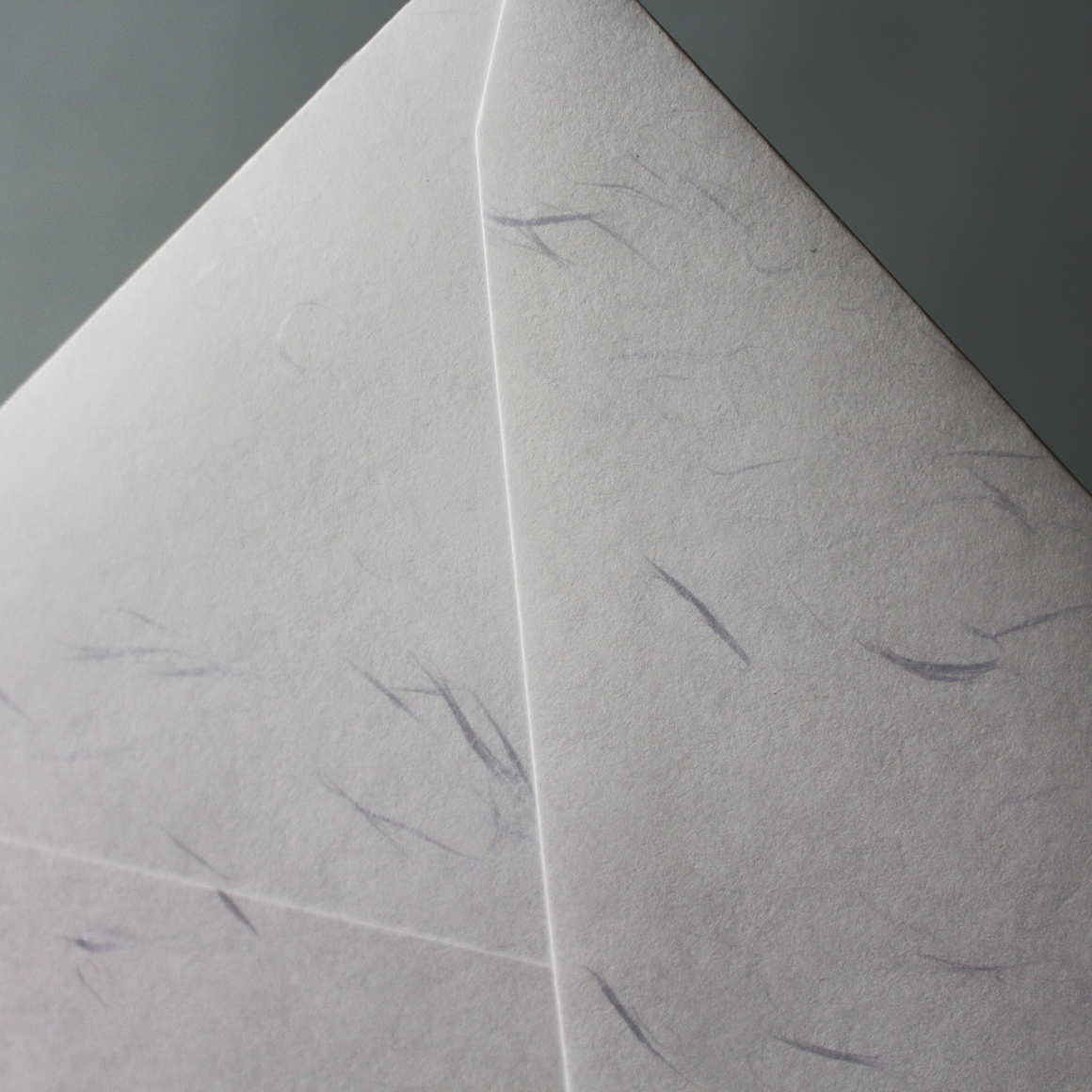 Envelope封筒(和)