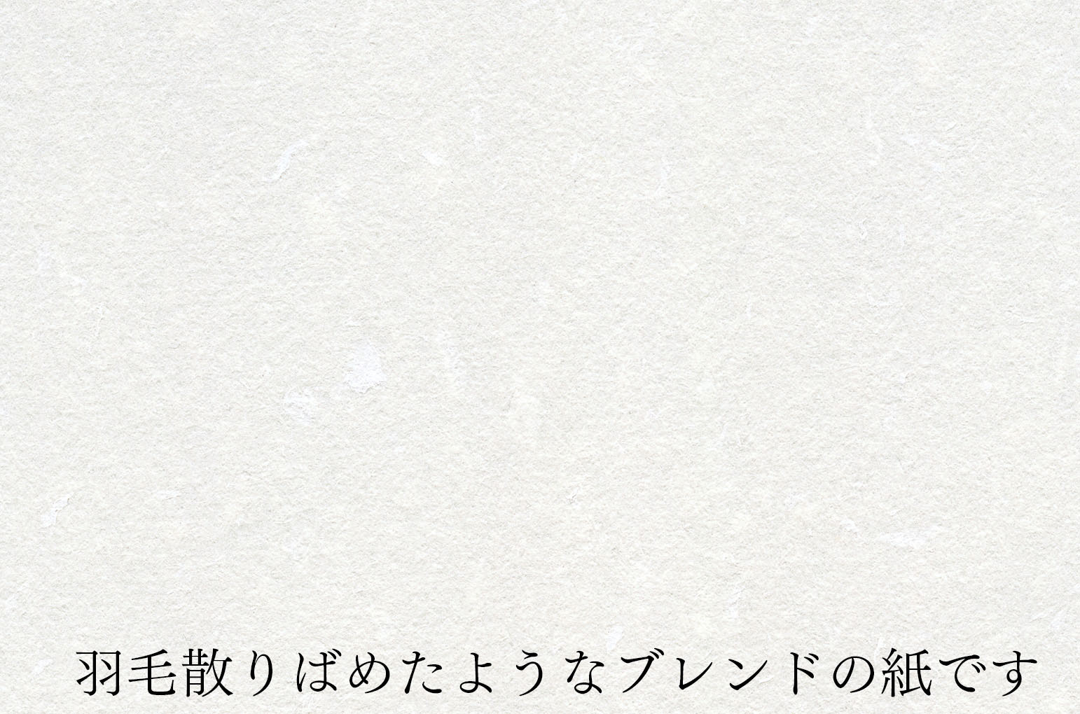 INSIDE PAPERフェザーワルツゆき【中紙デザイン変更料金】